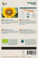 Buzzy® Helianthus, Lage zonnebloem Sunspot (BIO) - afbeelding 2