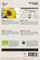 Buzzy® Helianthus, Reuzenzonnebloem giganteus (BIO) - afbeelding 2