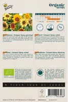 Buzzy® Helianthus, Zonnebloem Compact Spray(BIO) - afbeelding 2