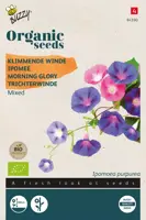 Buzzy® Ipomoea, Klimmende Winde gemengd (BIO) - afbeelding 1