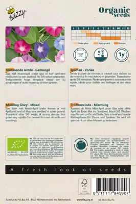 Buzzy® Ipomoea, Klimmende Winde gemengd (BIO) - afbeelding 2