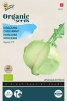 Buzzy® Koolrabi Korist F1 (BIO) - afbeelding 1