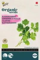 Buzzy® Koriander (bladkoriander) (BIO) - afbeelding 1