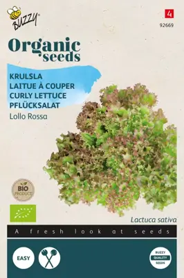 Buzzy® Krulsla Lollo Rossa (BIO) - afbeelding 1