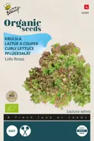 Buzzy® Krulsla Lollo Rossa (BIO) - afbeelding 1