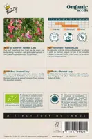 Buzzy® Lathyrus, Reuk- of siererwt Painted Lady(BIO) - afbeelding 2