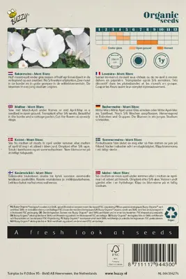 Buzzy® Lavatera, Bekermalva Mont Blanc (BIO) - afbeelding 2