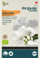 Buzzy® Lavatera, Bekermalva Mont Blanc (BIO) - afbeelding 1