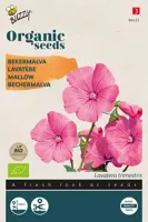 Buzzy® Lavatera, Bekermalva rose/rood (BIO) - afbeelding 1