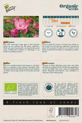 Buzzy® Lavatera, Bekermalva rose/rood (BIO) - afbeelding 2