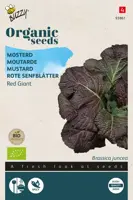 Buzzy® Mosterd Red Giant (BIO) - afbeelding 1
