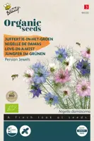 Buzzy® Nigella, Juffertje-in-het groen Persian Jewel - afbeelding 1