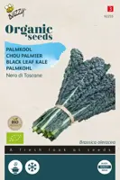 Buzzy® Palmkool Nero di Toscana (BIO) - afbeelding 1