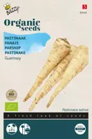 Buzzy® Pastinaak Guernsey (BIO) - afbeelding 1