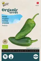 Buzzy® Peper Padron (BIO) - afbeelding 1