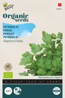 Buzzy® Peterselie Gigante d'Italia (BIO) - afbeelding 1