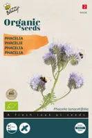 Buzzy® Phacelia, Bijenvoer (BIO) - afbeelding 1