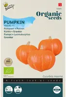 Buzzy® Pompoen Amoro F1 (BIO) - afbeelding 1