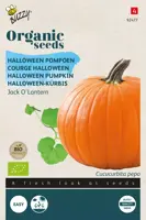 Buzzy® Pompoen Jack O'Lantern (BIO) - afbeelding 1