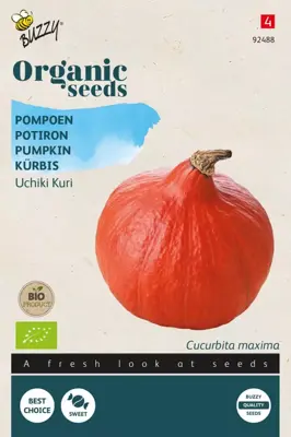 Buzzy® Pompoen Uchiki Kuri (BIO) - afbeelding 1