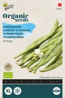 Buzzy® Pronkboon Emergo (BIO) - afbeelding 1