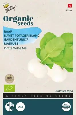 Buzzy® Raap Platte Witte Mei (BIO) - afbeelding 1