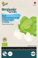Buzzy® Raap Platte Witte Mei (BIO) - afbeelding 1