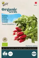 Buzzy® Radijs French Breakfast 3 (BIO) - afbeelding 1