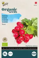 Buzzy® Radijs Raxe (BIO) - afbeelding 1