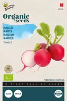 Buzzy® Radijs Saxa 2 (BIO) - afbeelding 1