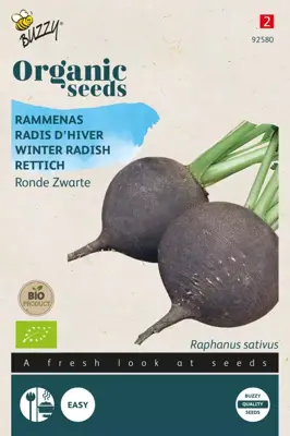 Buzzy® Rammenas Ronde Zwarte (BIO) - afbeelding 1