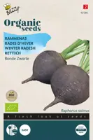 Buzzy® Rammenas Ronde Zwarte (BIO) - afbeelding 1
