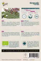 Buzzy® Salie (BIO) - afbeelding 2