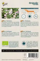 Buzzy® Saponaria, Koekruid Pink Beauty (BIO) - afbeelding 2