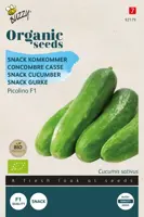 Buzzy® Snackkomkommer Picolino F1 (BIO) - afbeelding 1