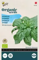 Buzzy® Spinazie Winterreuzen (BIO) - afbeelding 1
