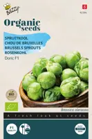 Buzzy® Spruitkool Doric F1 (BIO) - afbeelding 1