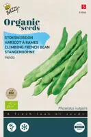 Buzzy® Stoksnijboon Helda (BIO) - afbeelding 1