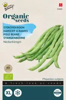 Buzzy® Stokspekboon Neckarkönigin (BIO) - afbeelding 1