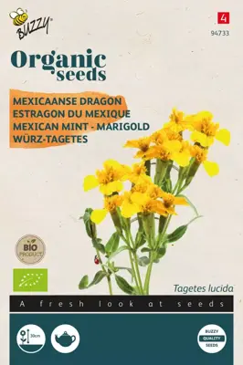 Buzzy® Tagetes Lucida, Mexicaanse dragon (BIO) - afbeelding 1