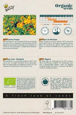 Buzzy® Tagetes Lucida, Mexicaanse dragon (BIO) - afbeelding 2