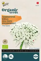 Buzzy® Tandenstoker The Giant (BIO) - afbeelding 1