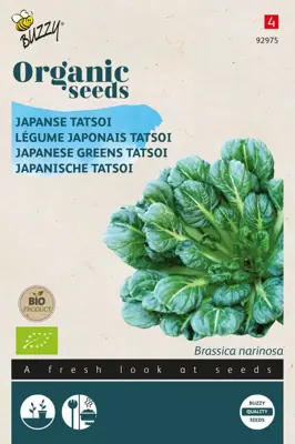 Buzzy® Tatsoi (BIO) - afbeelding 1