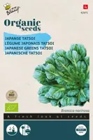 Buzzy® Tatsoi (BIO) - afbeelding 1