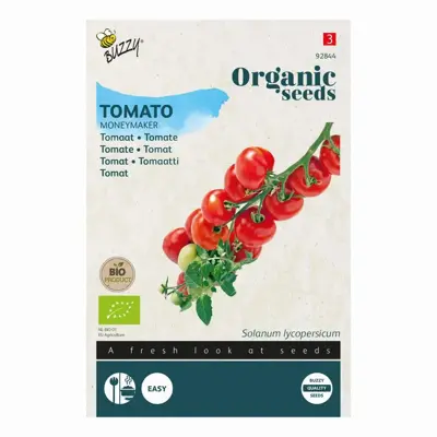 Buzzy® Tomaat Moneymaker (BIO) - afbeelding 1