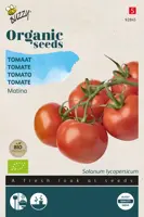 Buzzy® Tomaten Matina (BIO) - afbeelding 1