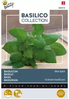 Buzzy zaden Basilicum Blue Spice - afbeelding 1