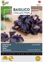 Buzzy zaden Basilicum Purple Ruffles kopen?