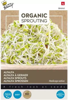 Buzzy zaden bio knip & eet alfalfa - afbeelding 1
