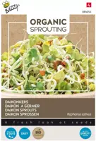 Buzzy zaden bio knip & eet daikonkers - afbeelding 1